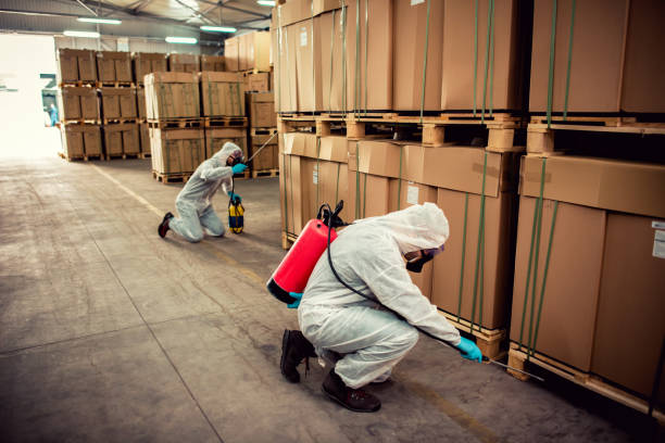 Best Wildlife Control Services  in Bolindale, OH