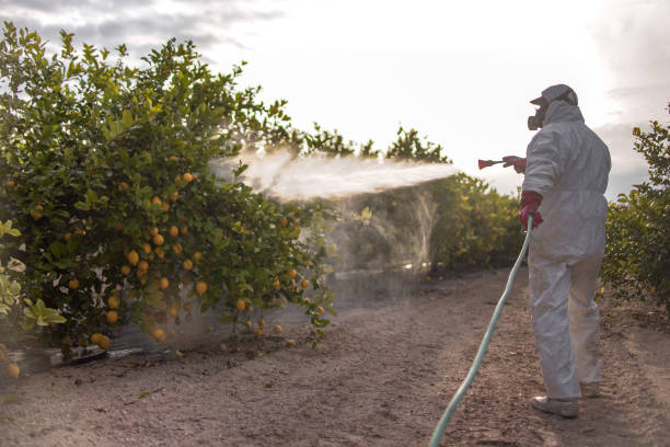 Best Commercial Pest Control Services  in Bolindale, OH